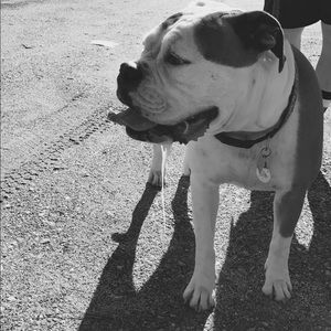 Meet your Posher, Fran